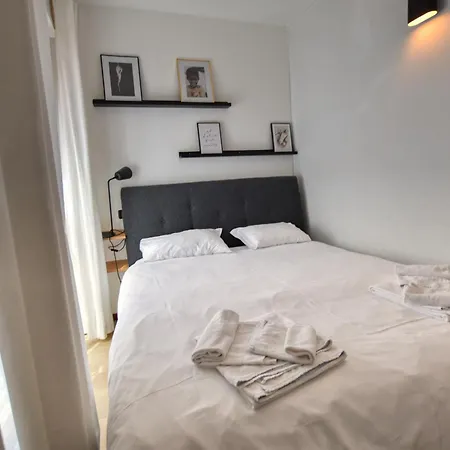 Camelia Elegante Acquaseria